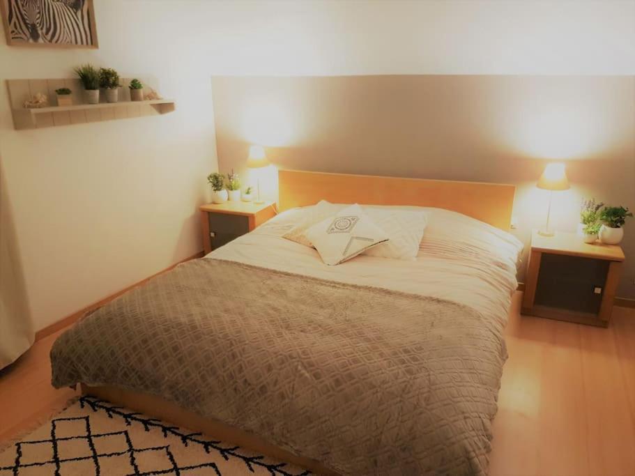 Nature, Charme, Confort, Avec Netflix Et Ps4 吕泽尔堡 外观 照片