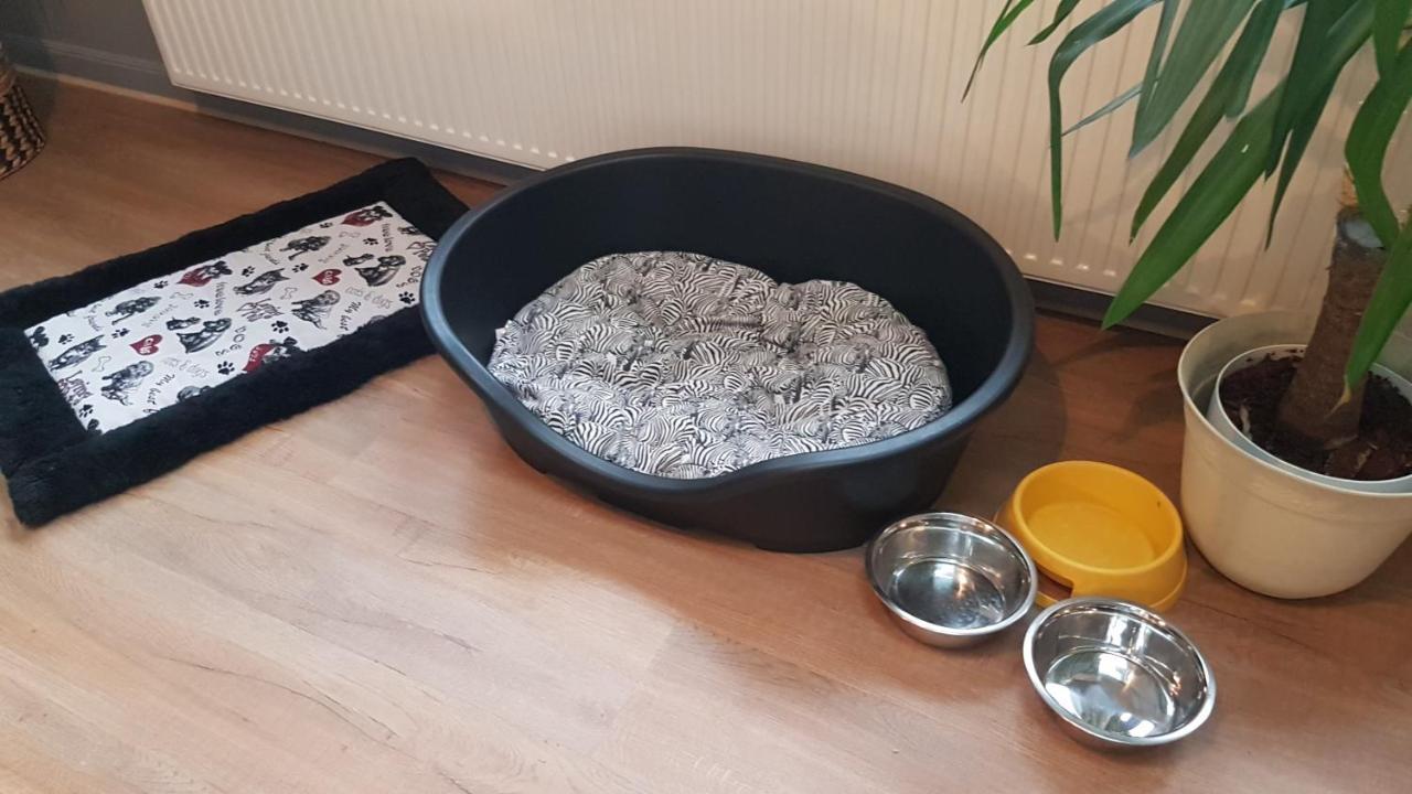 Nature, Charme, Confort, Avec Netflix Et Ps4 吕泽尔堡 外观 照片